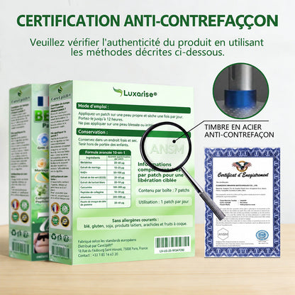 𝐂𝐚𝐫𝐞𝐔𝐩𝐥𝐢𝐟𝐭® 👩‍⚕️👩‍⚕️ 𝑨𝑴𝑷𝑲 × 𝑴𝒐𝒓𝒊𝒏𝒈𝒂 & 𝑩𝒆𝒓𝒃𝒆́𝒓𝒊𝒏𝒆 · Patch avancé à nano-microaiguilles 10-en-1